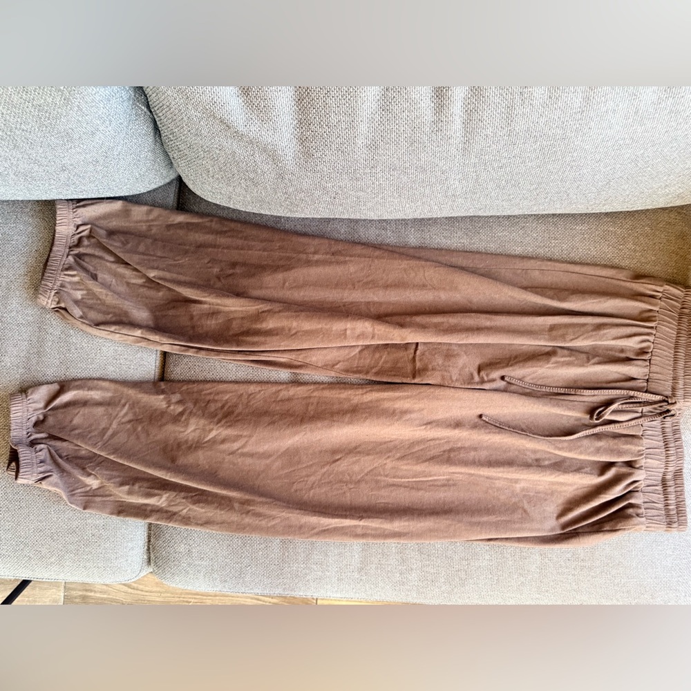 Cider women’s brown Jogger Pants